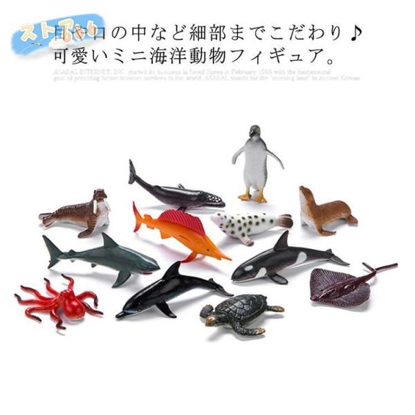 動物 みんな探してる人気モノ 動物 ホビー