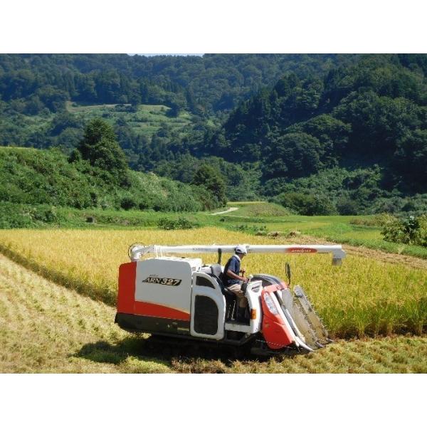 特別栽培米 2026年産 こしいぶき 新潟県吉川区川谷産 棚田米 10kg