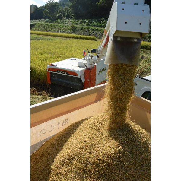 コシヒカリ玄米 2025年産10kg 特別栽培米 2025年産 コシヒカリ 玄米 10kg : 星の谷 - 通販 - Yahoo