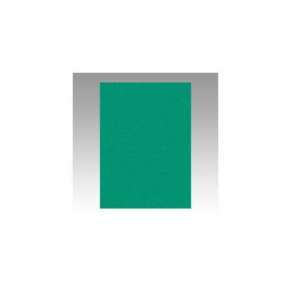 [メール便発送はできません]　１枚から発送します。（同色１０枚・１００枚単位にはしておりません）色鮮やか、描画・造形・壁面合同作品や作品掲示台紙など、様々な場面で活躍！再生紙　エコ（環境配慮）比率　100%寸法：542×392ミリ（四つ切）...