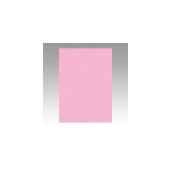 [メール便発送はできません]　１枚から発送します。（同色１０枚・１００枚単位にはしておりません）色鮮やか、描画・造形・壁面合同作品や作品掲示台紙など、様々な場面で活躍！再生紙　エコ（環境配慮）比率　100%寸法：542×392ミリ（四つ切）...