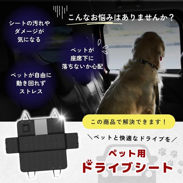 stawink_petdribsit_1_d_20240711114750