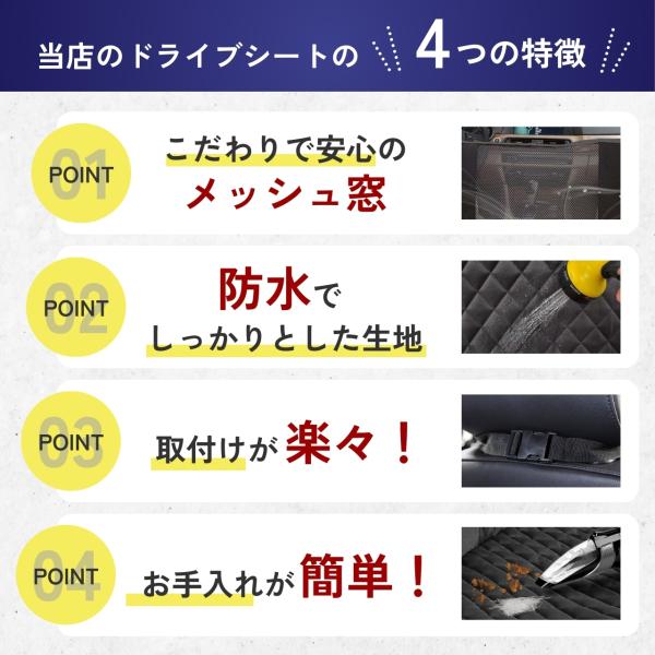 stawink_petdribsit_2_d_20240711114759