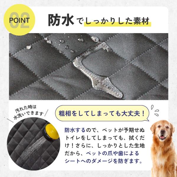 stawink_petdribsit_4_d_20240711114820