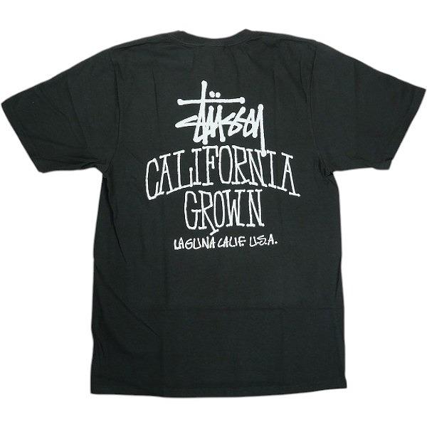 STUSSY ステューシー 25SS CALI GROWN TEE PIGMENT DYED Faded