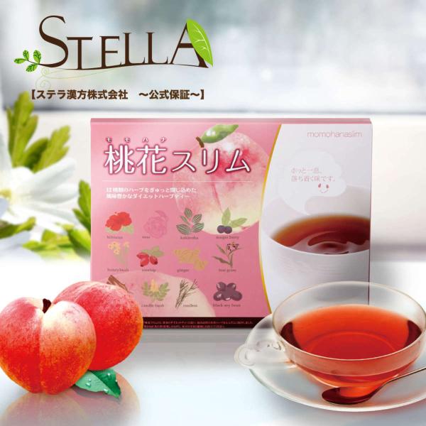 stella-store_momo1