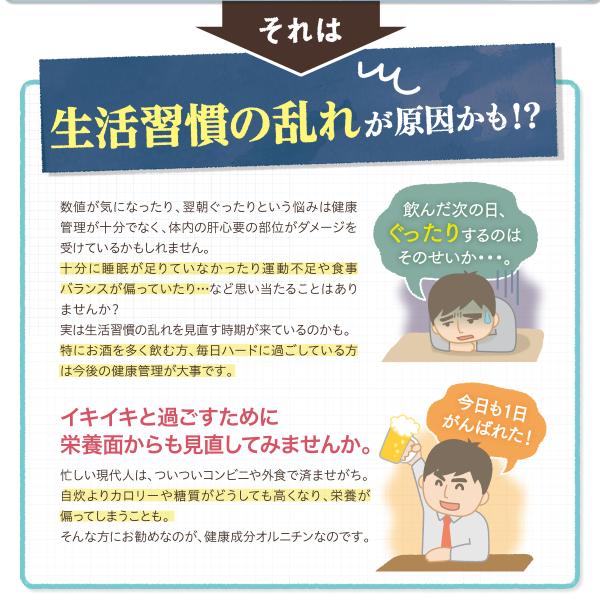 オルニパワー Znプラス オルニチン しじみ 牡蠣 酒 亜鉛 二日酔い 1粒入 2袋 オルニチン サプリ サプリメント 1粒入 2袋 ステラ漢方公式保証 Orni2 ステラ漢方株式会社 公式保証