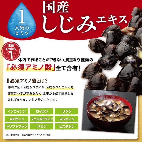 種類豊富な品揃え オルニパワー Znプラス オルニチン しじみ 牡蠣 亜鉛 二日酔い サプリ サプリメント 1粒入 2袋 ステラ漢方公式保証 激安本物特別価格