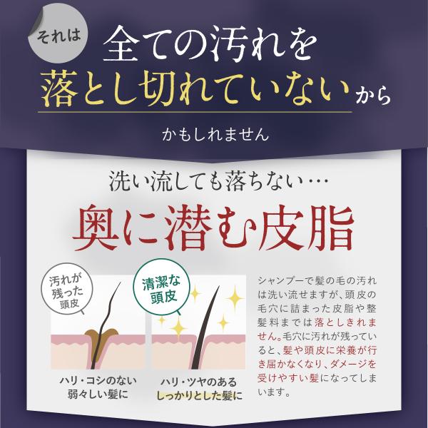 Grace Seed Stella 炭酸 スパークリング シャンプー ボタニカル パラベンフリー 頭皮 くせ毛 フケ かゆみ 対策 0ml ステラ漢方 Buyee Buyee Japanese Proxy Service Buy From Japan Bot Online