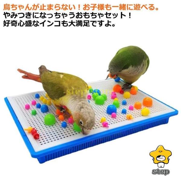 小鳥のおもちゃセット 鳥のおもちゃ 鳥用玩具 プラスチック オカメインコ インコ おもちゃ バードトイ 鳥 小鳥 ストレス解消 セキセイインコ ルリゴ