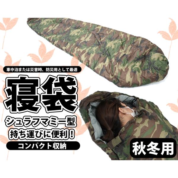 Q ~p RpNg t[ht  Ԓ }~[^ LvpQ ϊx ~p ʕ |Pbgt