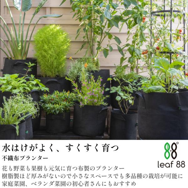 �y�ŒZ���������z �s�D�z�v�����^�[ 12�K���� 6�� 40x35cm �s�D�z�|�b�g 14�� �A�ؔ� ��^ �y�� ��PayPay�� ���i�摜1