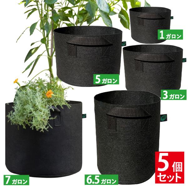 不織布 プランター 5ガロン3枚入 植木鉢 家庭菜園 野菜 ブラック 楽天市場】不織布プランター 5ガロン 不織布ポット 3個セット