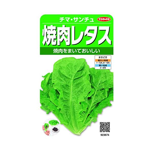 ご覧いただきありがとうございます！【商品概要】切替月:6月詰量:3.5ml発芽率:85%採苗本数:1000春秋扱い:春秋兼用種まきどき:春・秋【商品説明】説明サカタのタネ 実咲野菜3674 焼肉レタス(緑) チマ・サンチュ【ご注意】詰量、発...