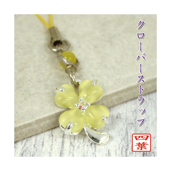 N[o[ Xgbv CG[ F Xgbvt