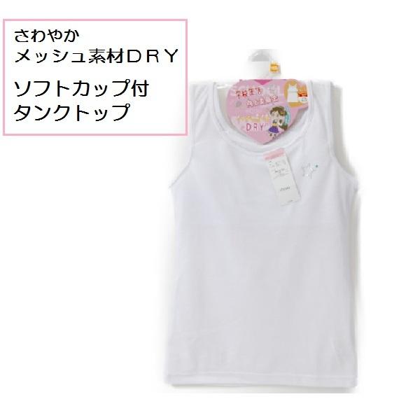 K[ wZψ ^Ngbv \tgJbvt ₩ bV DRY w ̎q   |Vc Ci[   150 160 165 wN