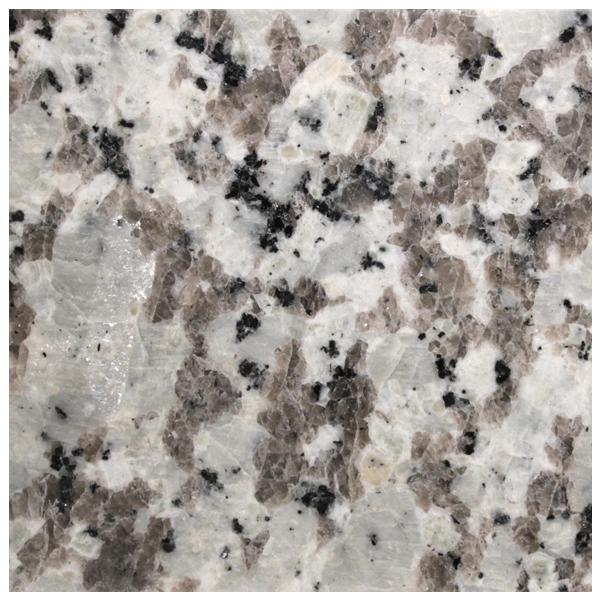 ~JQ G430 400p VR {Eo[i[dグ 1w ʓr