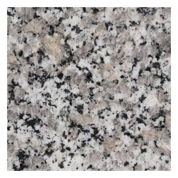 ~JQ [Ux[^ VR 400p {Eo[i[d 1w ʓr