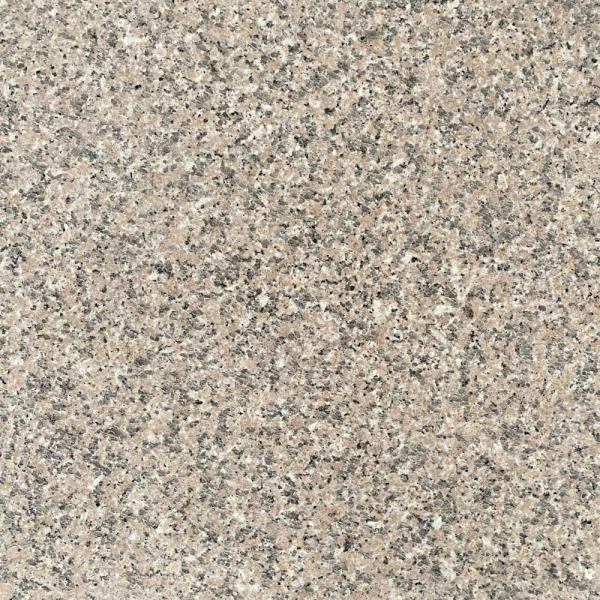 ~JQ G367 VR 400p {1w ʓr