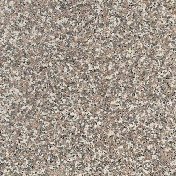 ~JQ VG635 VR 400p {Eo[i[dグ 1w ʓr