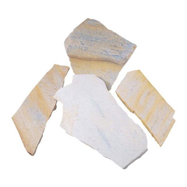 ` GhhNH[c CG[ `   VR 1m2̔ ʓr