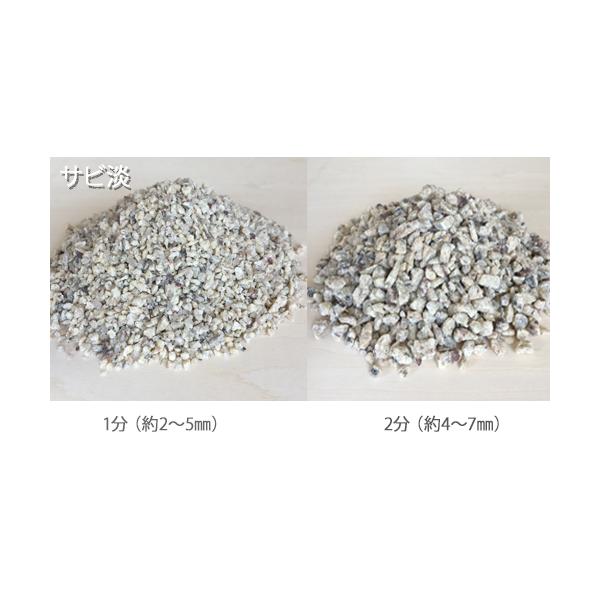 J[Ӑ ܃TCY 900g TrW W^Cv 