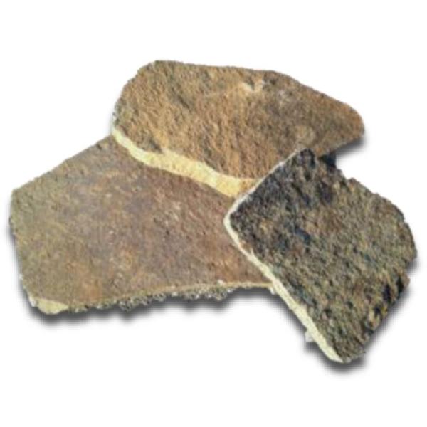 ` WS TKm ` VR  1m2̔ ʓr