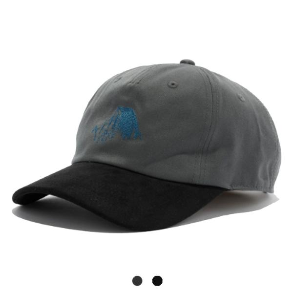 THE NORTH FACE PURPLE LABEL Purple Label Field Graphic Cap