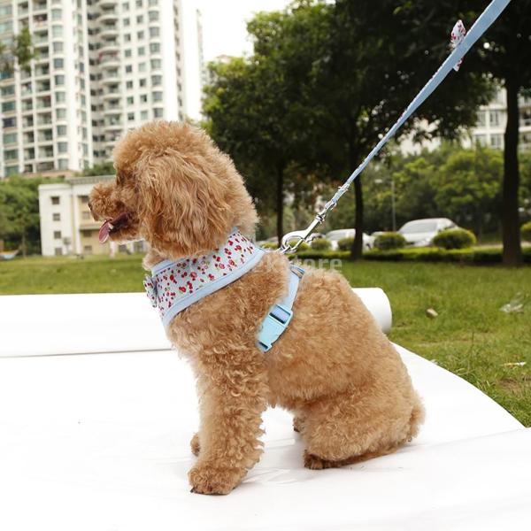 ノーブランド品高級犬用 ハーネス ペット用胴輪 犬用胴輪 通気性 調節可能 メッシュペット 可愛い 花柄 ブルー S Buyee Buyee Japanese Proxy Service Buy From Japan Bot Online