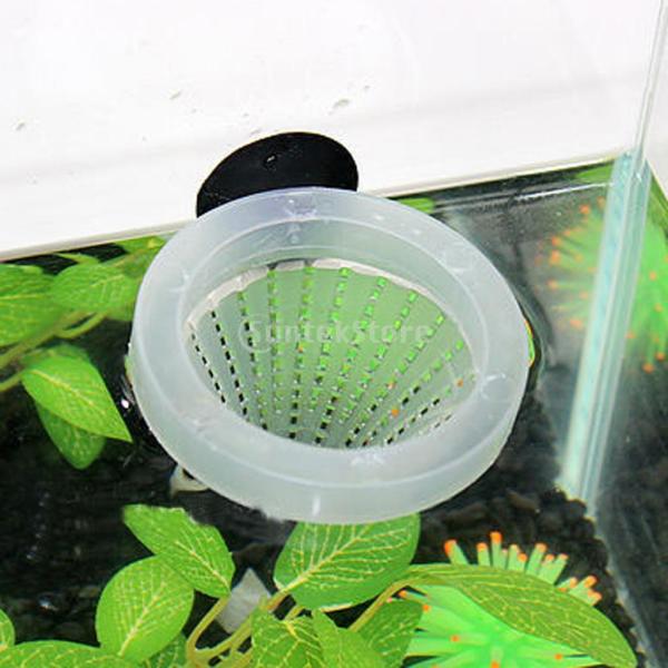 ノーブランド品アクアリウム 水槽用 冷凍 魚餌 シュリンプ レッドワーム フィーダー Buyee Buyee Japanese Proxy Service Buy From Japan Bot Online