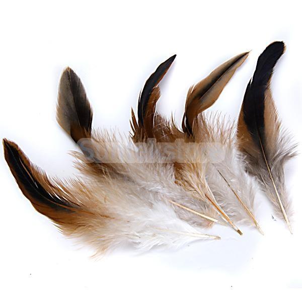 ノーブランド品 約50枚入り ルースターコック 装飾用 羽根 鶏羽 自然色 Diyクラフト 衣装 帽子 工芸品 など飾り Stkショップ 通販 Yahoo ショッピング