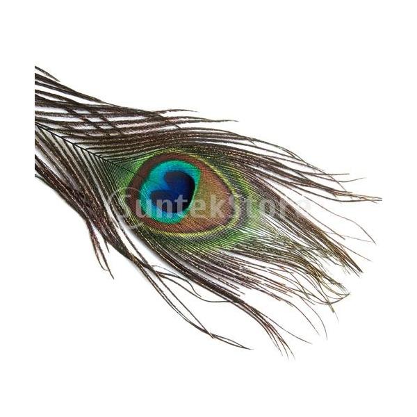 セット 装飾用 手芸 孔雀 羽根 羽 フェザー Buyee Buyee Japanese Proxy Service Buy From Japan Bot Online