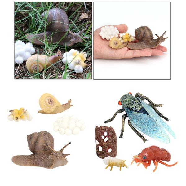 蝉とカタツムリの成長ライフサイクルプレイセット教育認知玩具 Stkショップ 通販 Yahoo ショッピング