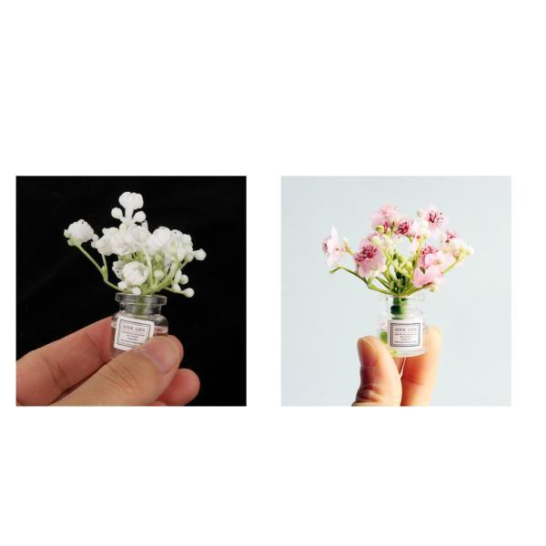 ジャスミン 鉢植えの人気商品 通販 価格比較 価格 Com