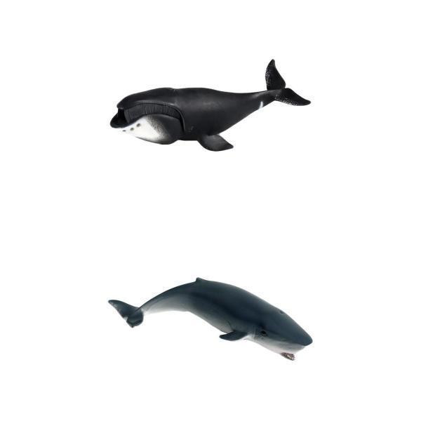 お気にいる 2xリアルな海のクジラのフィギュア生き物のおもちゃは子供向けの遊びの贈り物を装うスタイル6 知育玩具 Straightuplondon Com