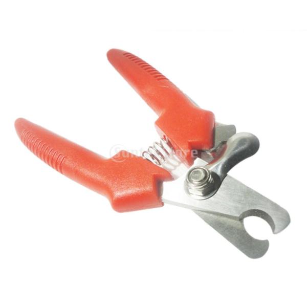 ノーブランド品ペット 猫 トリマー ネイル つま先 爪切り ステンレス製 はさみ Buyee Buyee Japanese Proxy Service Buy From Japan Bot Online