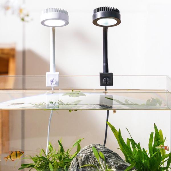 リモートUSB水生植物水族館LEDライトブラックを備えた小さな魚の水槽ライト