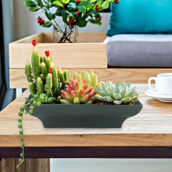 説明:デザイン: フラワーアレンジメントやディスプレイ用に花を簡単に保持でき.生花/造花や葉に適しています.素材:環境に優しいプラスチック製で.お手入れが簡単です.使いやすい: 底は花の泡を固定することができ.花が新鮮なフラワーアレンジメン...