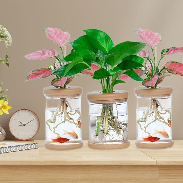 説明:[信頼できる素材]:水耕栽培用花瓶はプラスチック製です.実用的に家庭装飾としてお使いいただけるこの製品は.美しいだけでなく.安定したベースデザインを採用しているため.長期間置いても変形したり倒れたりしません. [花瓶飾り]: 精巧に作...