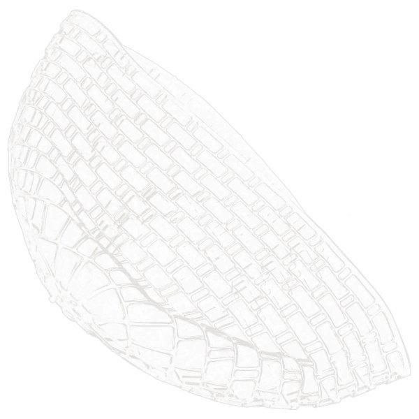 フライフィッシングランディングネット周囲102cm用クリアラバー交換ネット Stkショップ 通販 Yahoo ショッピング