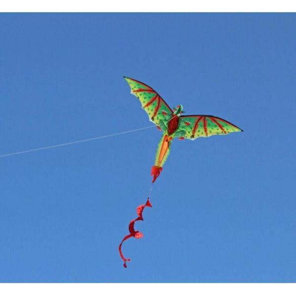 説明:3D恐竜カイトのグレードを下げて安定させると.簡単にプレイを開始できます.公園やビーチでは.風に向けるだけでオフになり.飛行できます.高品質のグリッドクロスとガラス鋼棒の素材でできており.優れた耐久性と長い使用時間を提供するための優れ...