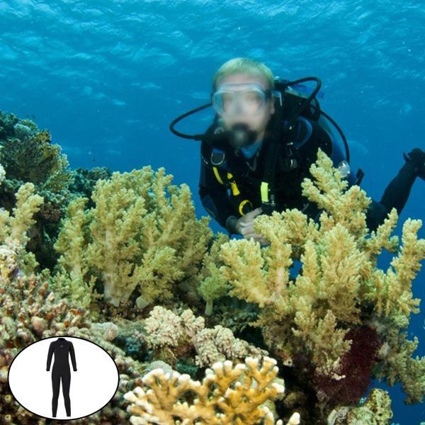 国産 ダイビングウェットスーツフルレングスサーフダイビングスーツ水着女性ブラックm 送料無料 ウエットスーツ Www Amf46 Fr