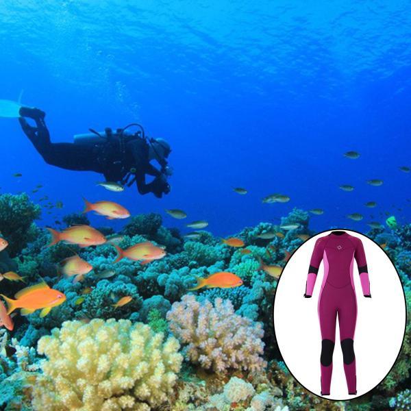 ウェットスーツ 水着 女性 ウェットスーツの人気商品 通販 価格比較 価格 Com