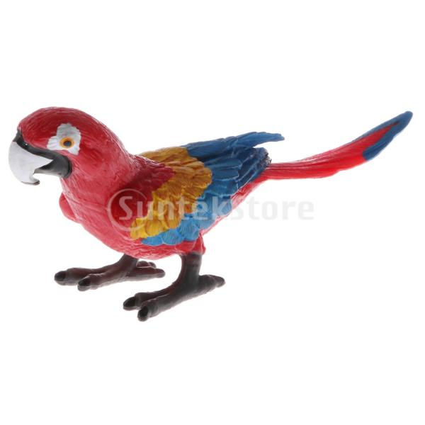 プラスチック製 子ども 科学 自然玩具 リアル 動物モデル 模型 フィギュア インテリア 装飾 種類パック オウム Stkショップ 通販 Yahoo ショッピング
