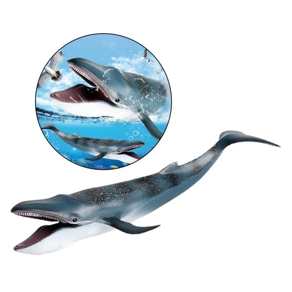 12 インイン インチシロナガスクジラモデルアクションフィギュアpvc海の動物生き物教育学習指導のおもちゃパーティー好意