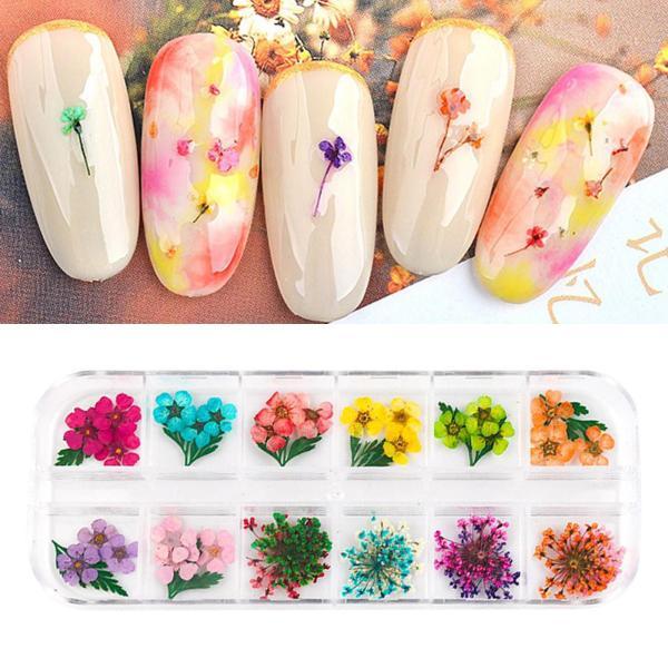 3d ネイル 花 造花 アーティフィシャルフラワーの人気商品 通販 価格比較 価格 Com