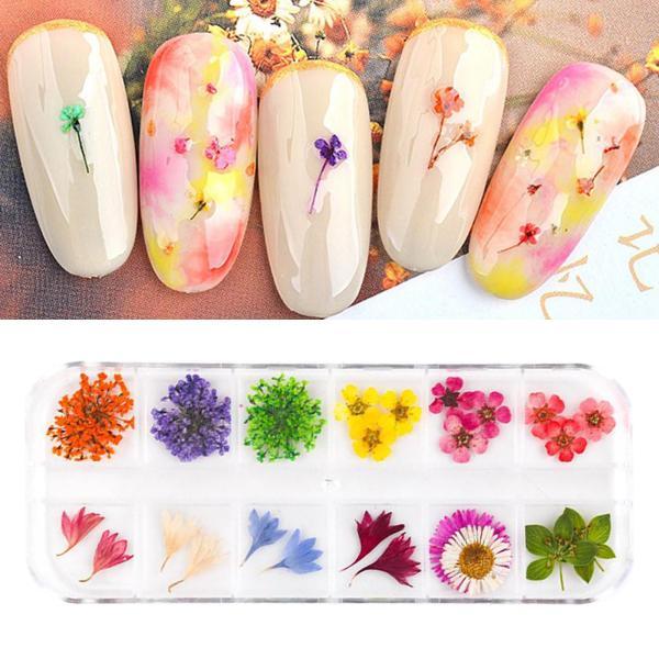 3d ネイル 花 造花 アーティフィシャルフラワーの人気商品 通販 価格比較 価格 Com