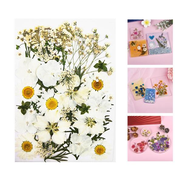 本物のドライフラワー 花びら アートクラフト エポキシ樹脂 ジュエリー 石鹸 メイキング ホワイト Stkショップ 通販 Yahoo ショッピング