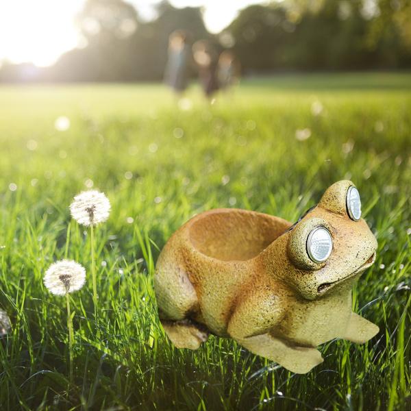 カエル 植木鉢の人気商品 通販 価格比較 価格 Com