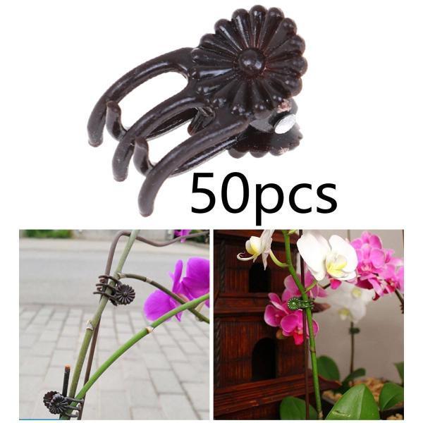 ブーゲンビリア バリエガータ の特徴や育て方 剪定の時期や方法等の紹介 Beginners Garden 庭の植物クリップは植物を登るための植物の茎のクリップを調整する Vladatk Gov Ba